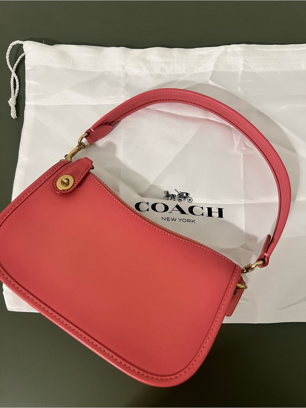 RARE Coach TAFFY Leather Swinger Shoulder Bag with Gold Hardware - Picture 2 of 10